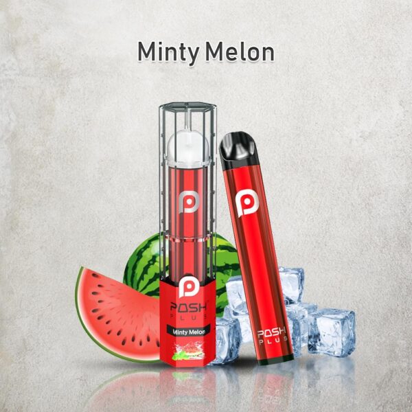 Minty Melon